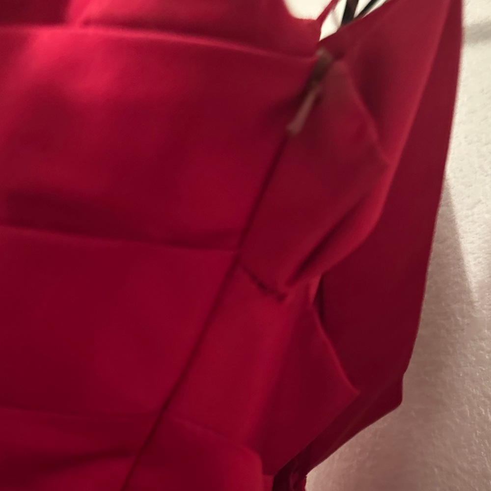 David's Bridal Strapless Scarlet Gown - Picture 8 of 16